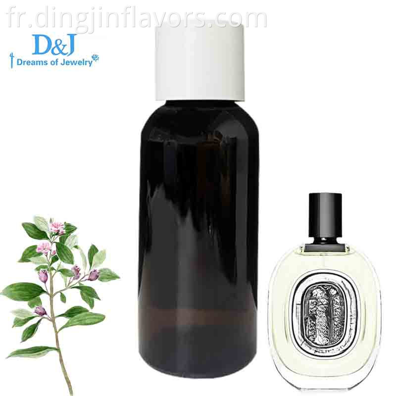 Diptyque Tam Dao Eau De Toilette Jpg